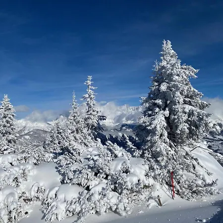 Reiteralm- With Schladming-dachstein Summer Card Schladming