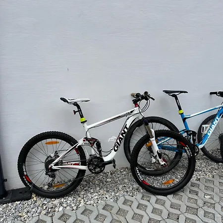 Reiteralm- With Schladming-dachstein Summer Card *