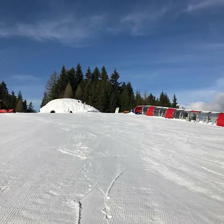 Reiteralm- In Out 아파트 슈라드밍